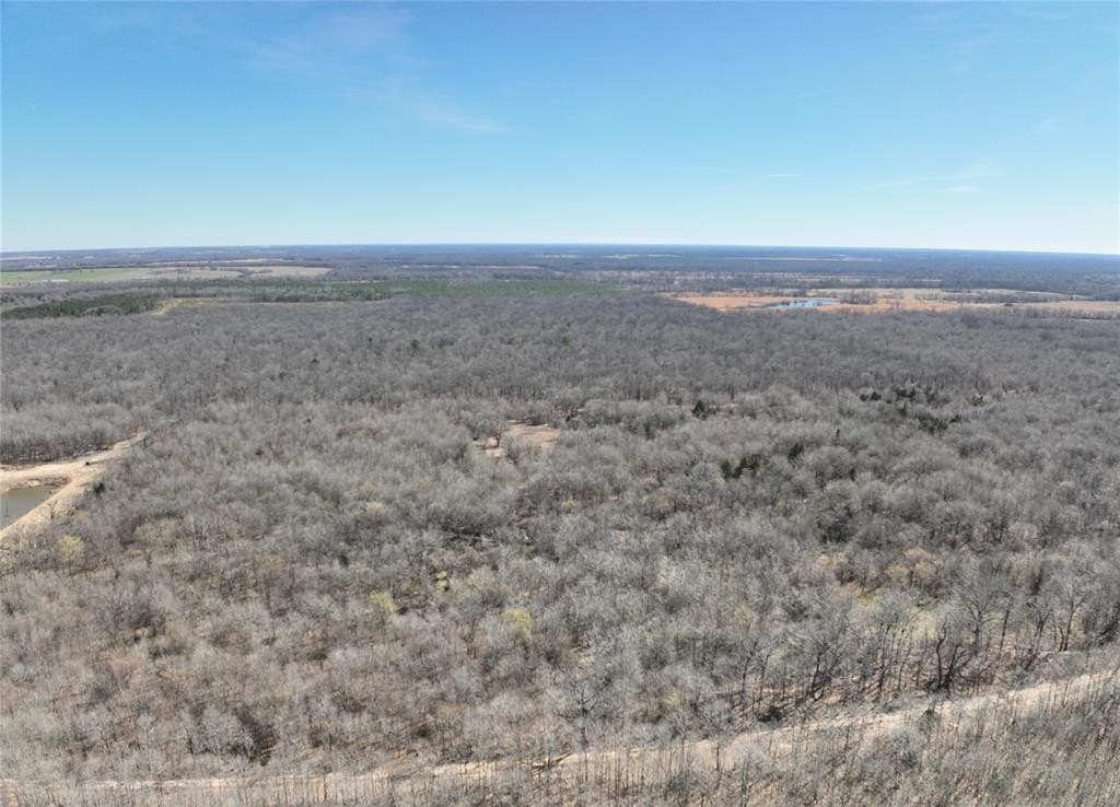 152 acres in Red River County - photo 10