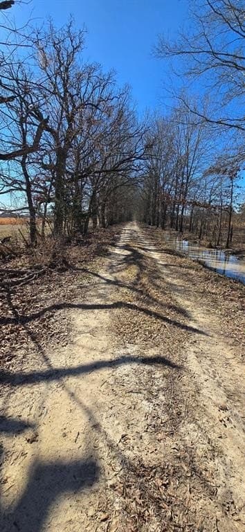 152 acres in Red River County - photo 24