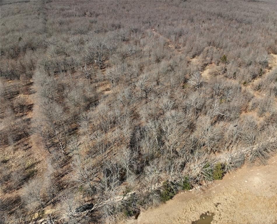 152 acres in Red River County - photo 20