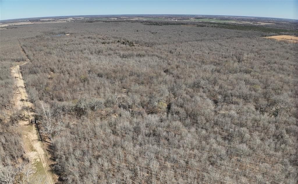 152 acres in Red River County - photo 14