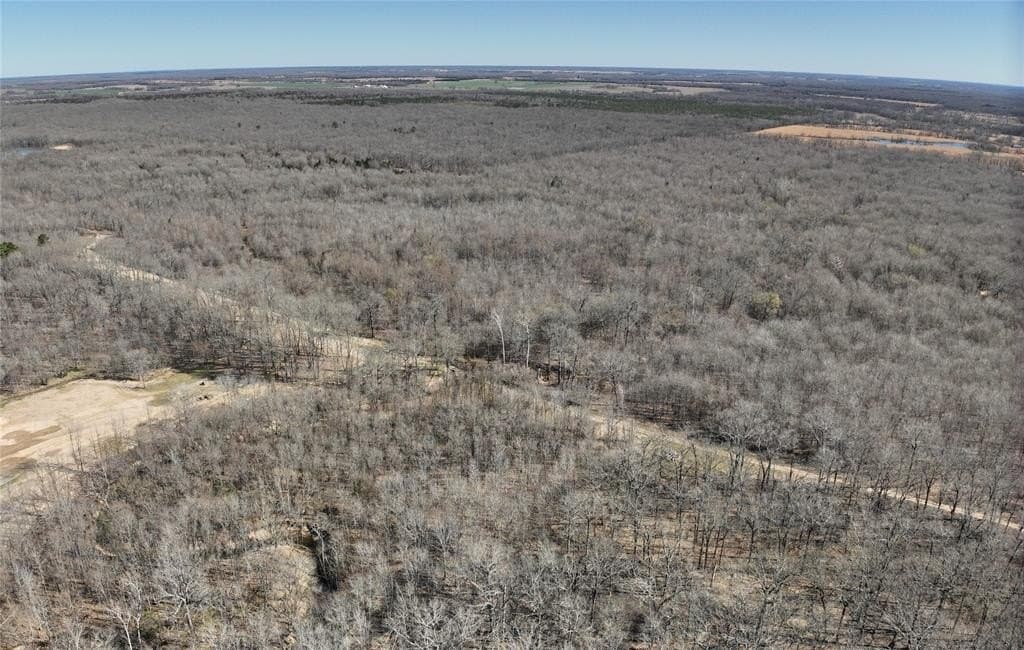 152 acres in Red River County - photo 12