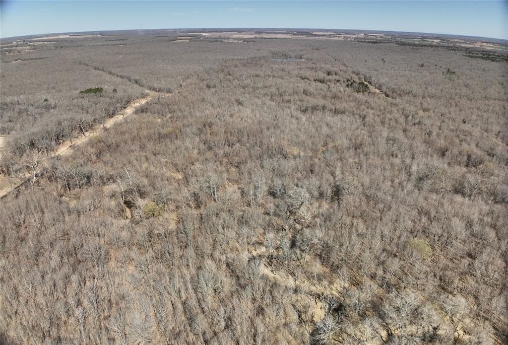 152 acres in Red River County - photo 16