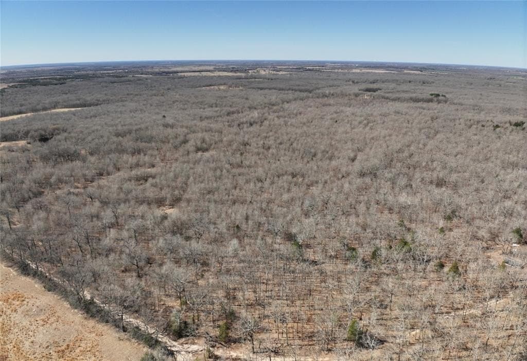 152 acres in Red River County - photo 4