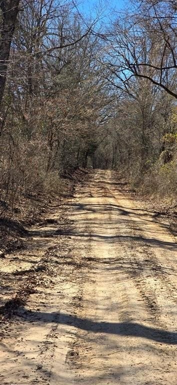 152 acres in Red River County - photo 26