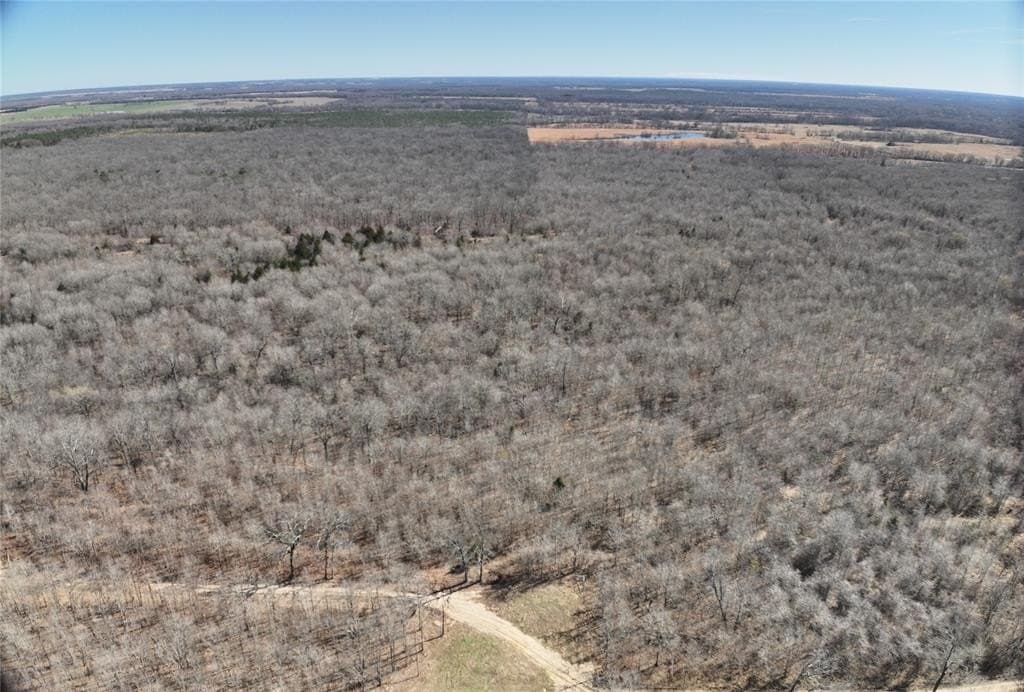152 acres in Red River County - photo 11