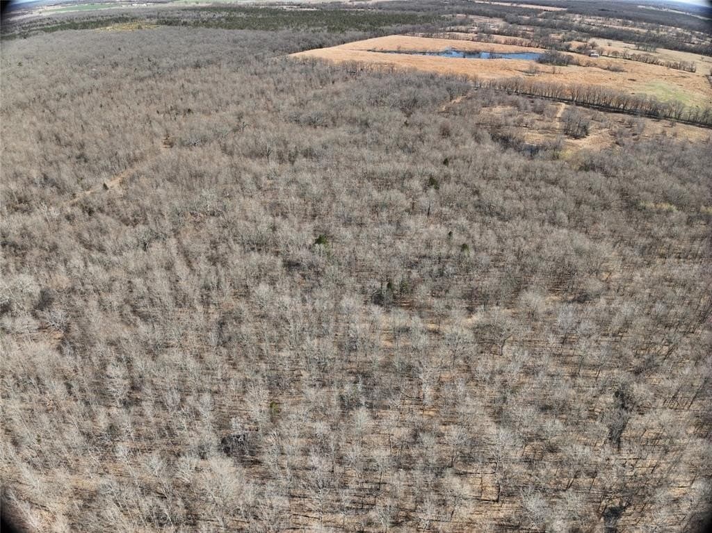 152 acres in Red River County - photo 19