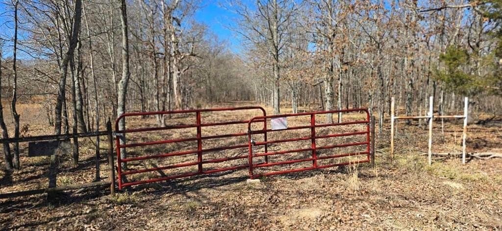 152 acres in Red River County - photo 25