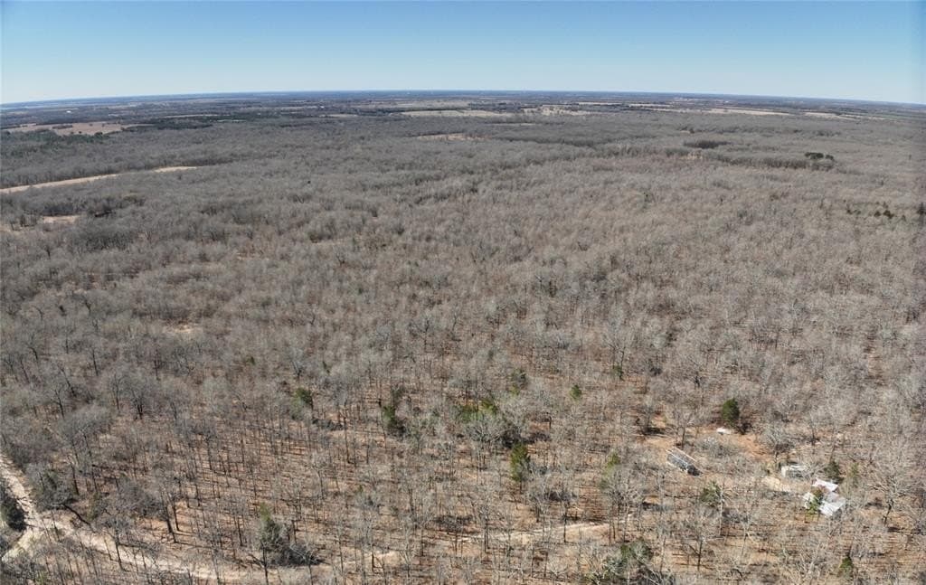 152 acres in Red River County - photo 3