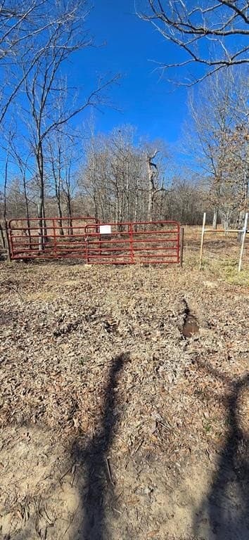 152 acres in Red River County - photo 23