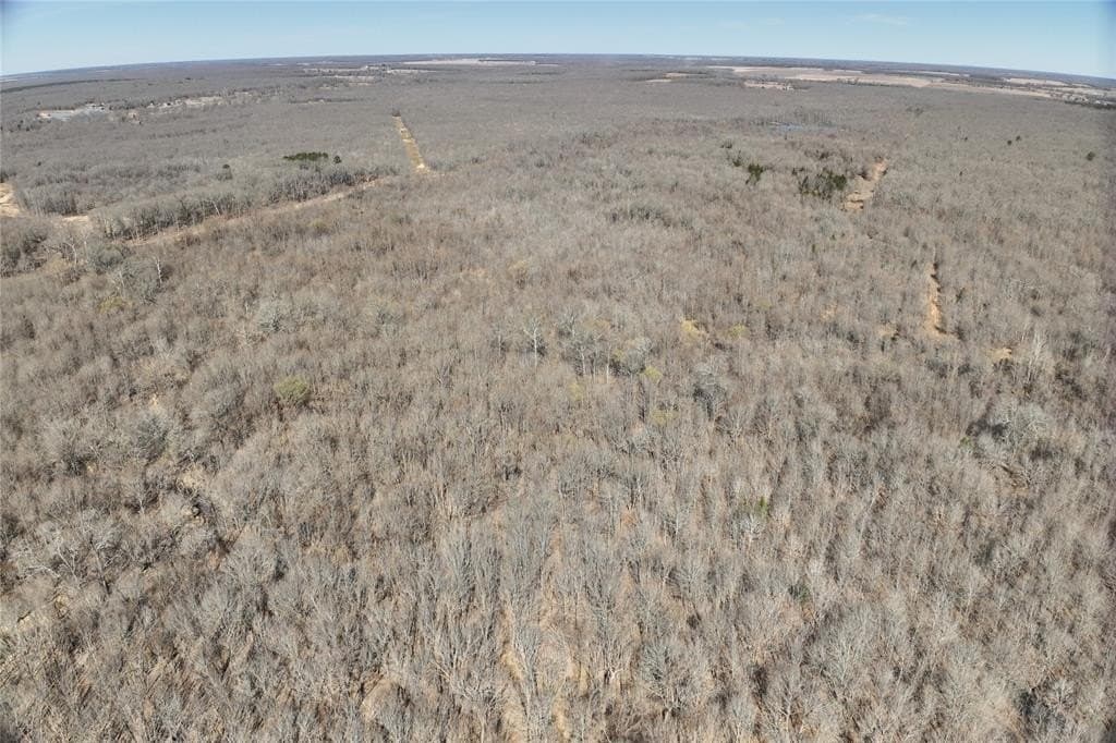 152 acres in Red River County - photo 17
