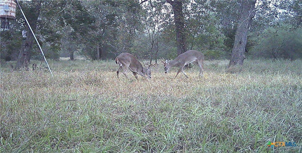 80.32 acres in Jackson County - photo 47