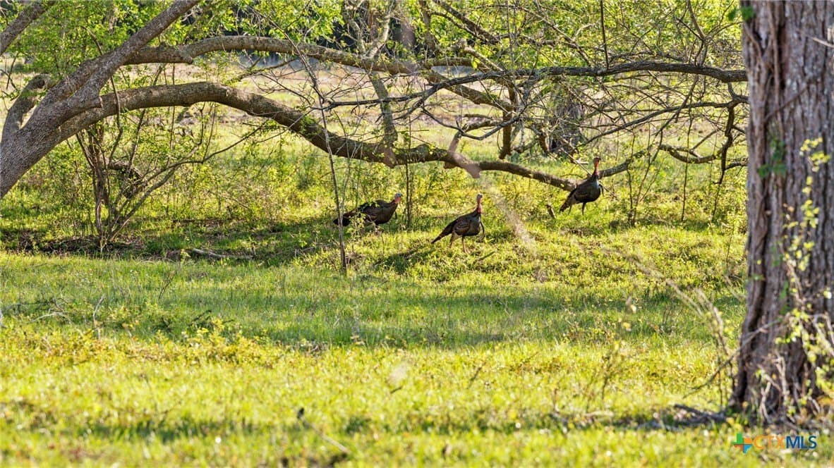80.32 acres in Jackson County - photo 31