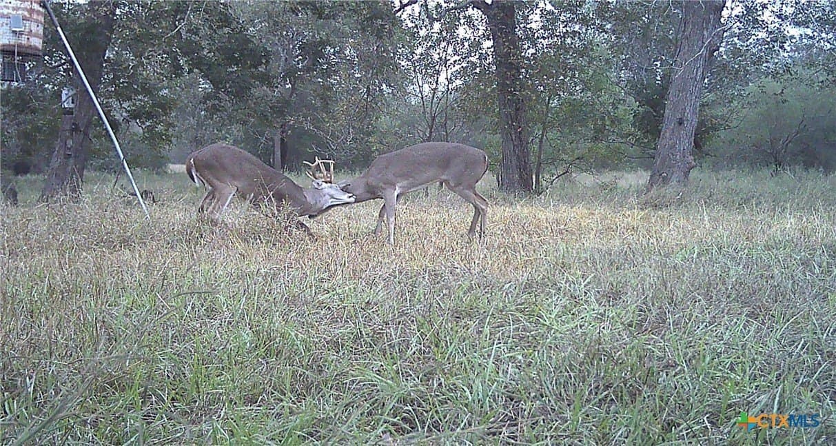 80.32 acres in Jackson County - photo 46