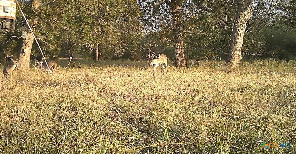 80.32 acres in Jackson County - photo 45