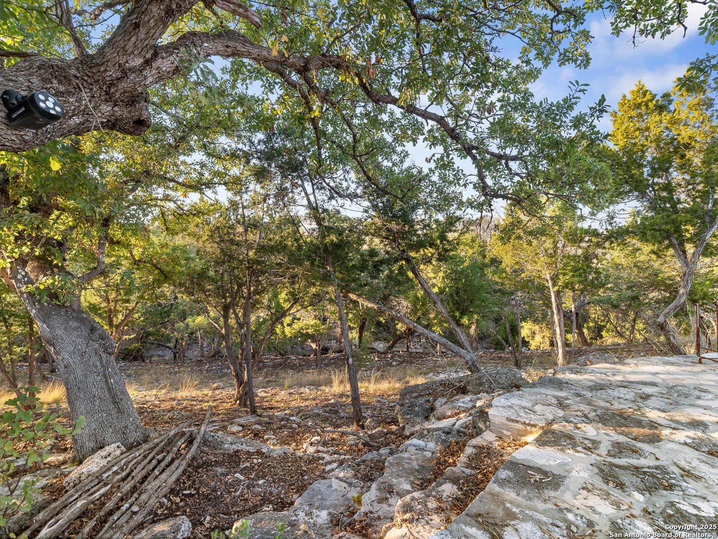 12.33 acres in Gillespie County - photo 19