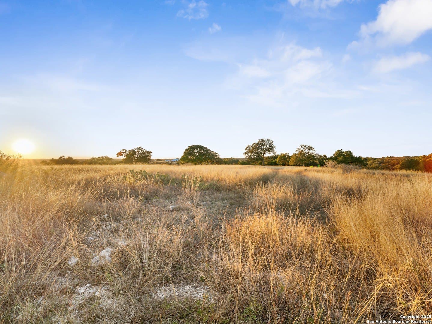 12.33 acres in Gillespie County - photo 22