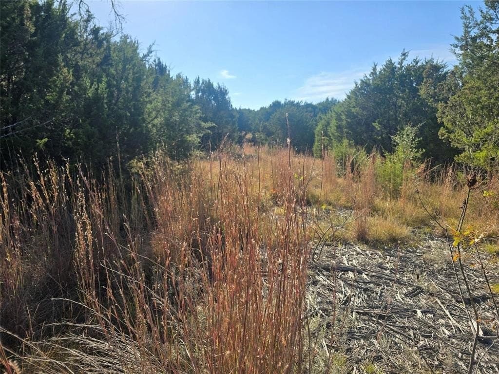 2.18 acres in Erath County - photo 5