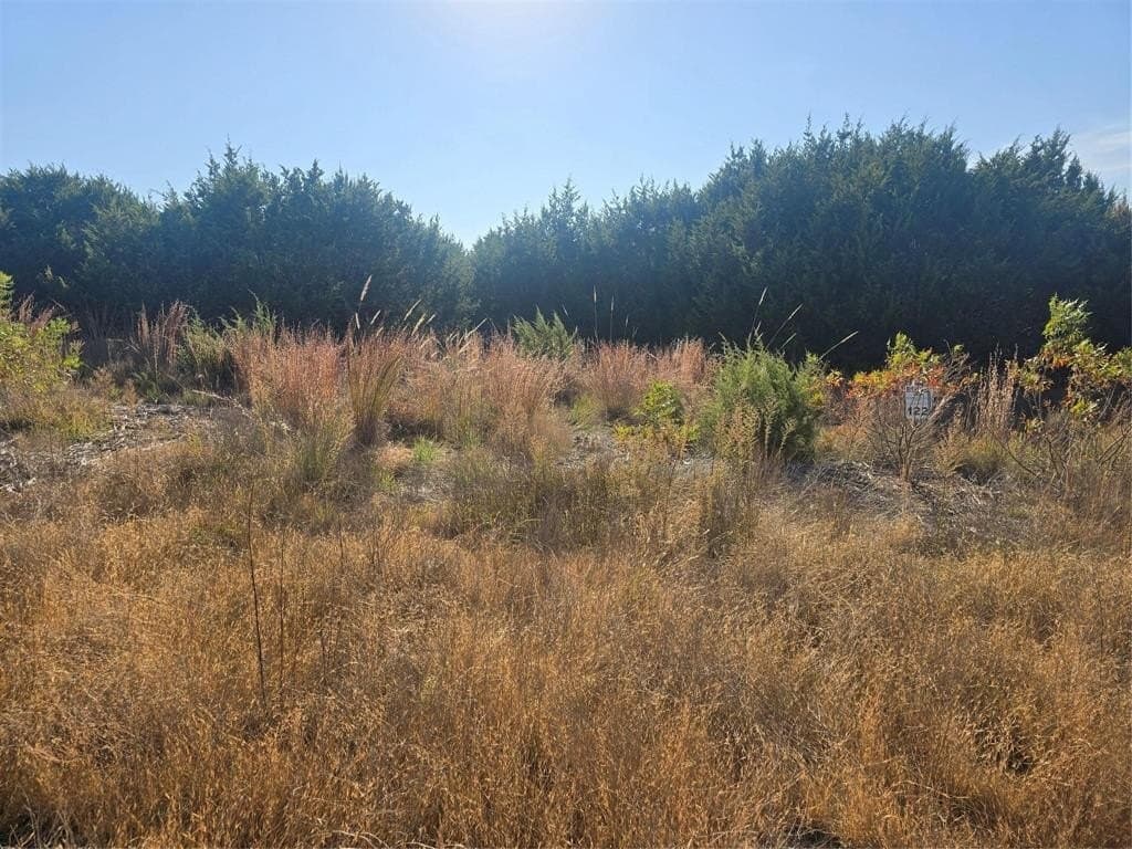 2.18 acres in Erath County - photo 4