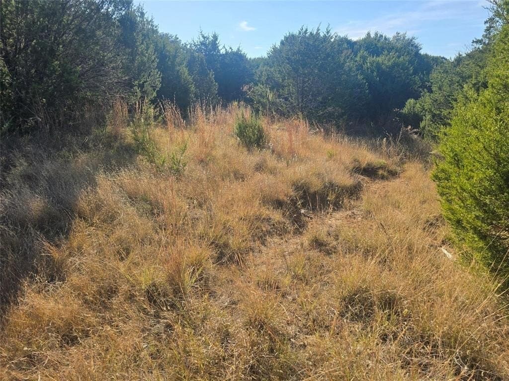 2.18 acres in Erath County - photo 10