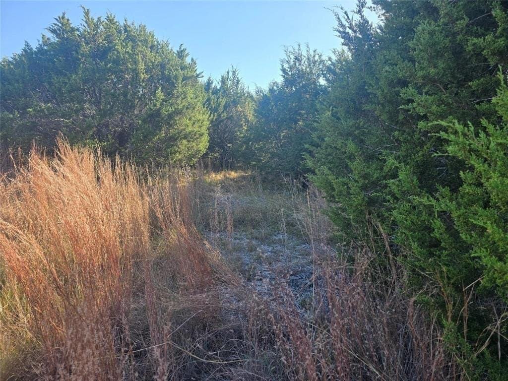 2.18 acres in Erath County - photo 8