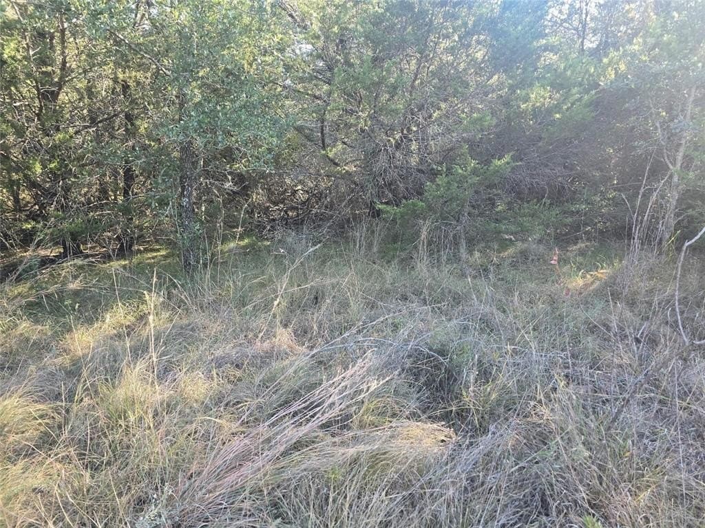 2.18 acres in Erath County - photo 17