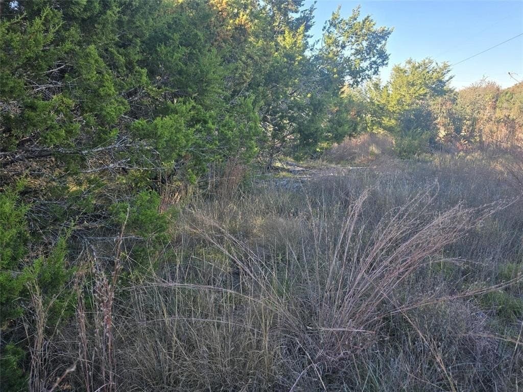 2.18 acres in Erath County - photo 9