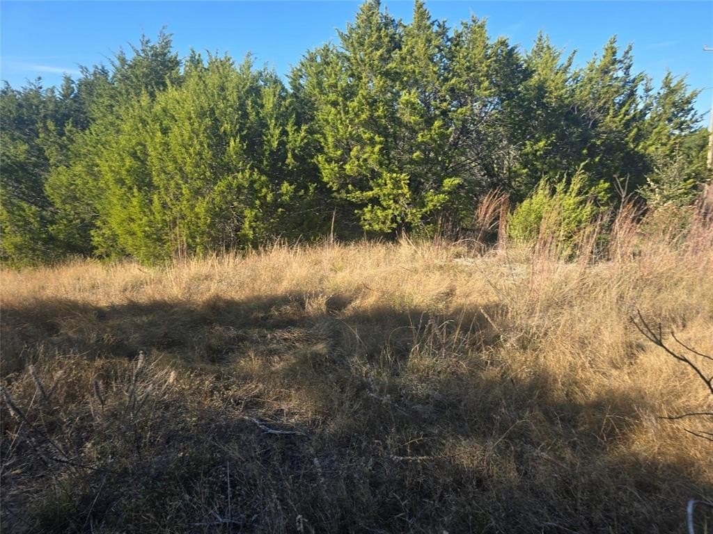 2.18 acres in Erath County - photo 14