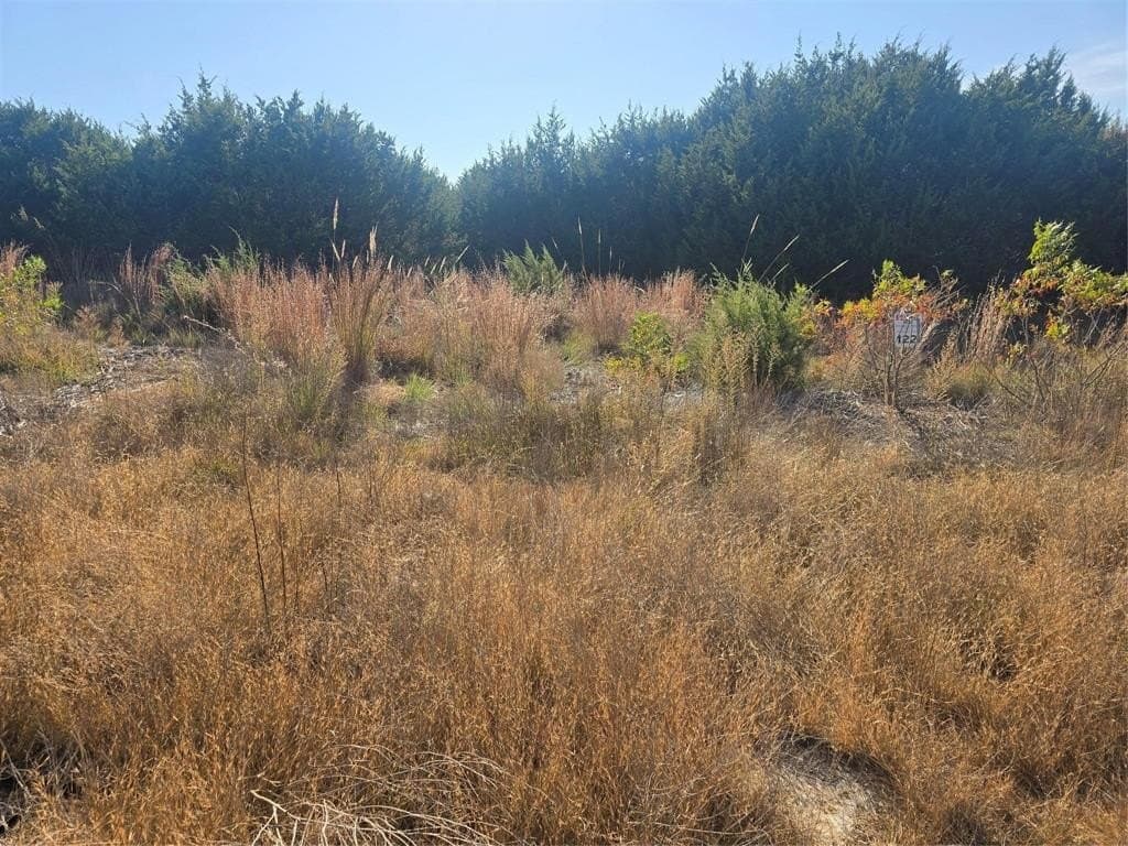 2.18 acres in Erath County - photo 19