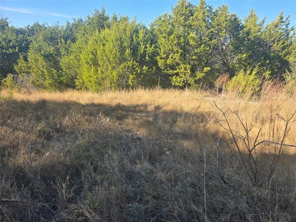 2.18 acres in Erath County - photo 12