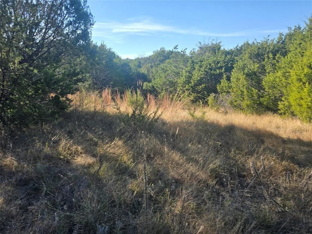 2.18 acres in Erath County - photo 15