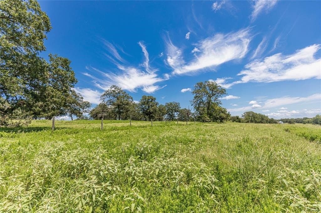 60.52 acres in Austin County - photo 6