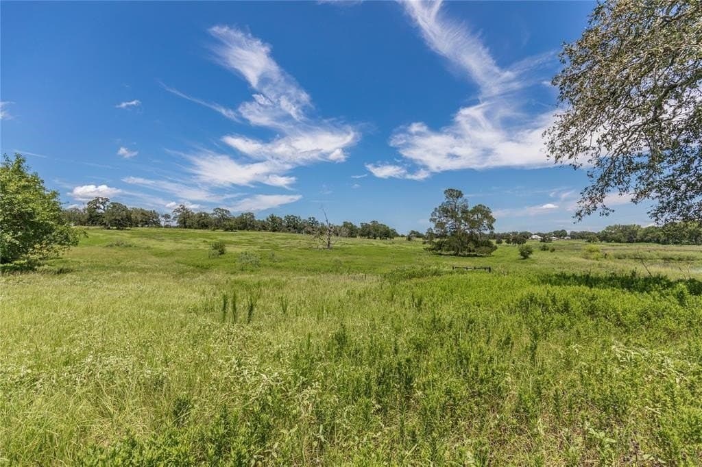60.52 acres in Austin County - photo 13