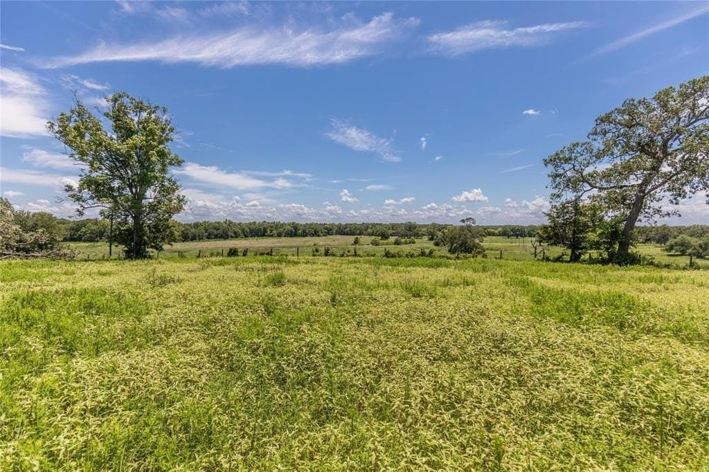 60.52 acres in Austin County - photo 5