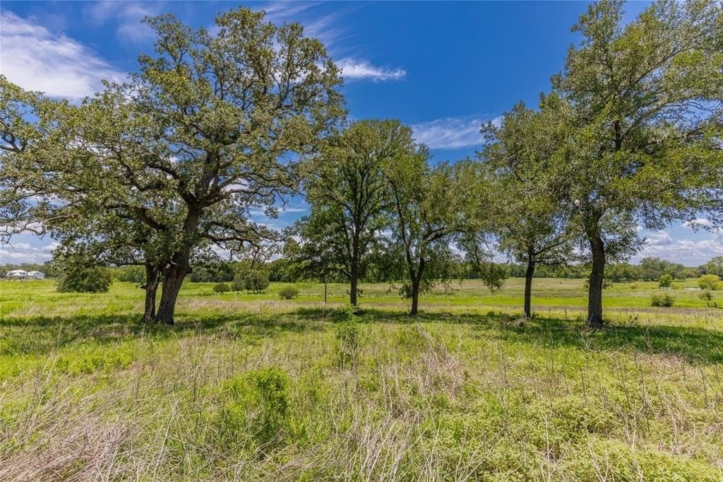60.52 acres in Austin County - photo 2
