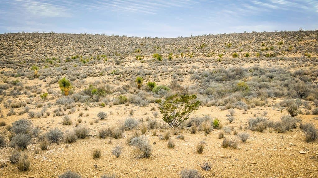 20 acres in Brewster County - photo 6