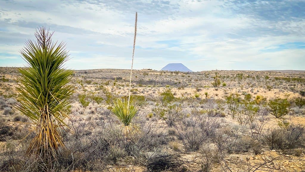 20 acres in Brewster County - photo 3