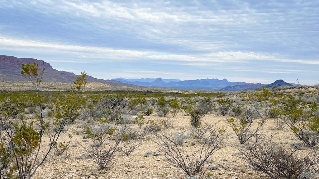 20 acres in Brewster County - photo 2