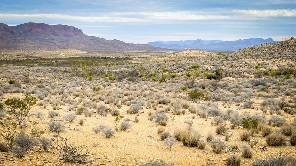 20 acres in Brewster County - photo 4