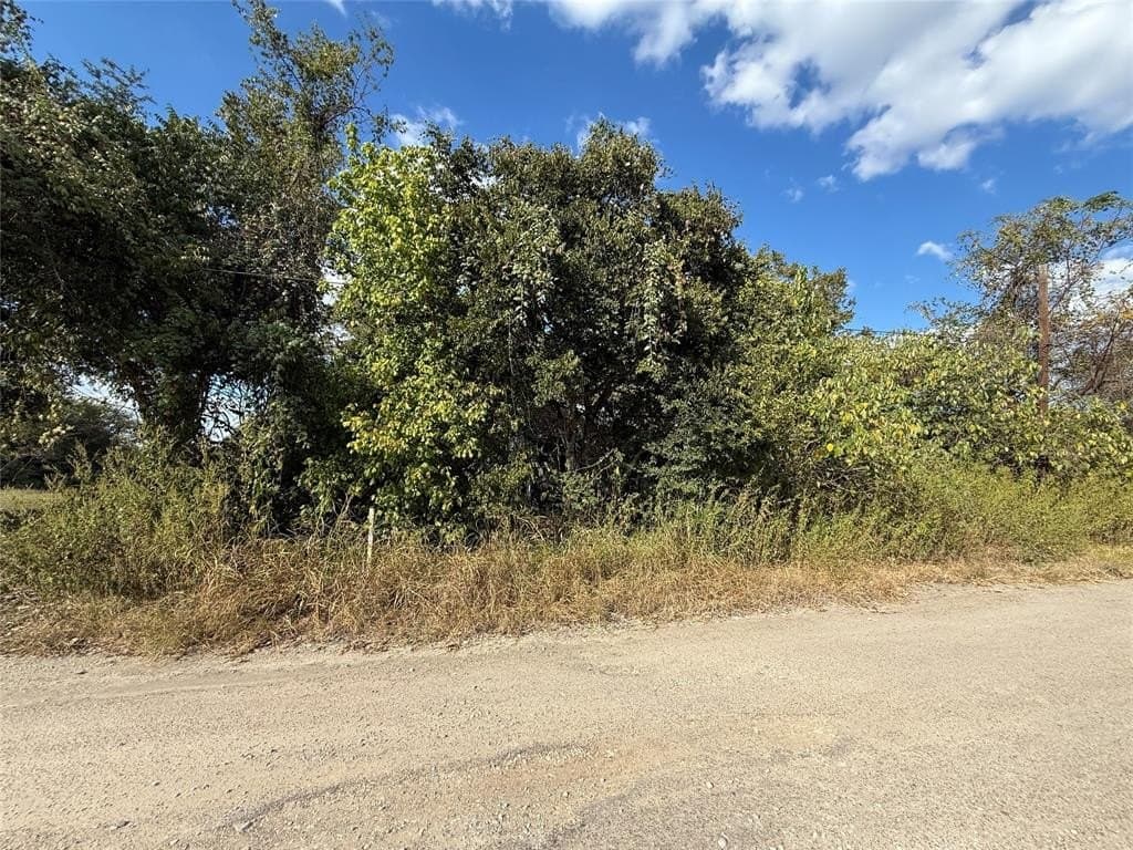 0.14 acres in Falls County - photo 2