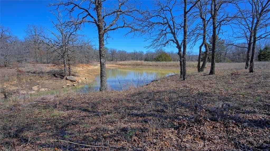 24.99 acres in Montague County - photo 2