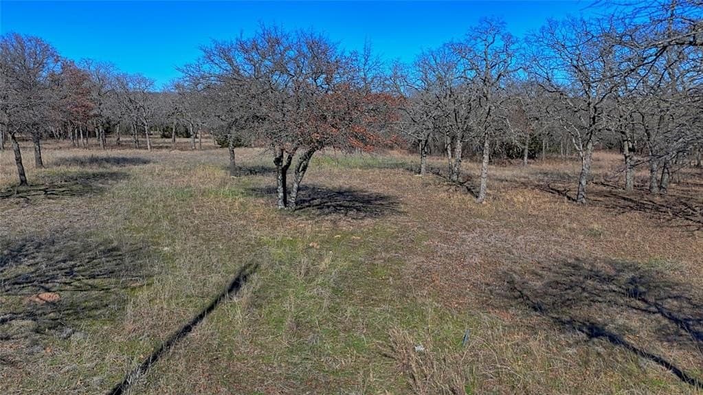 24.99 acres in Montague County - photo 7