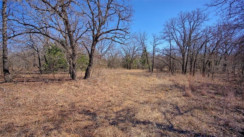 24.99 acres in Montague County - photo 6