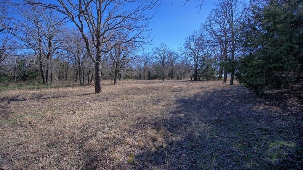 24.99 acres in Montague County - photo 5