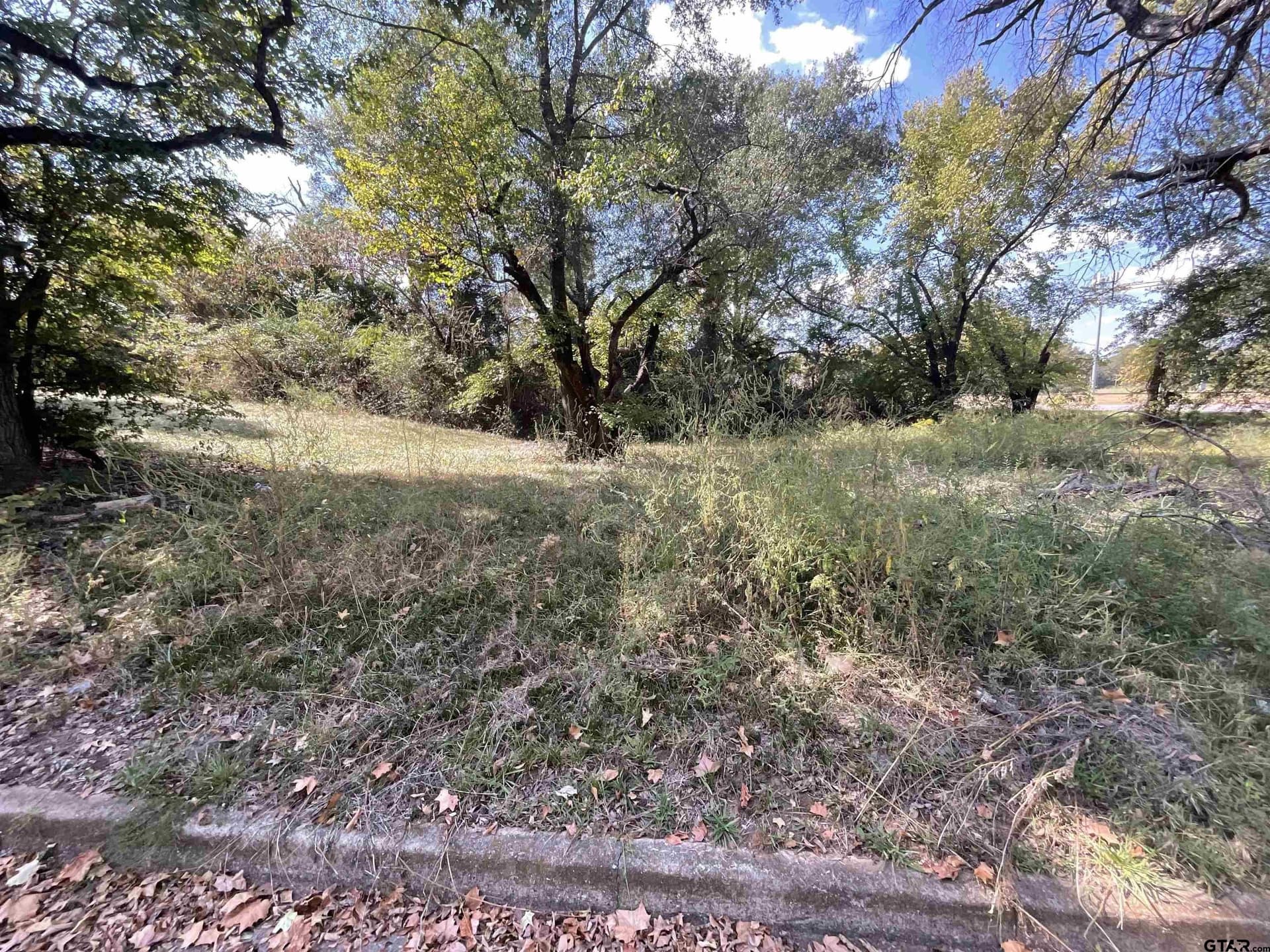 0.48 acres in Smith County - photo 2