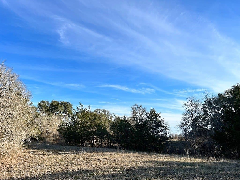 50 acres in Washington County - photo 4