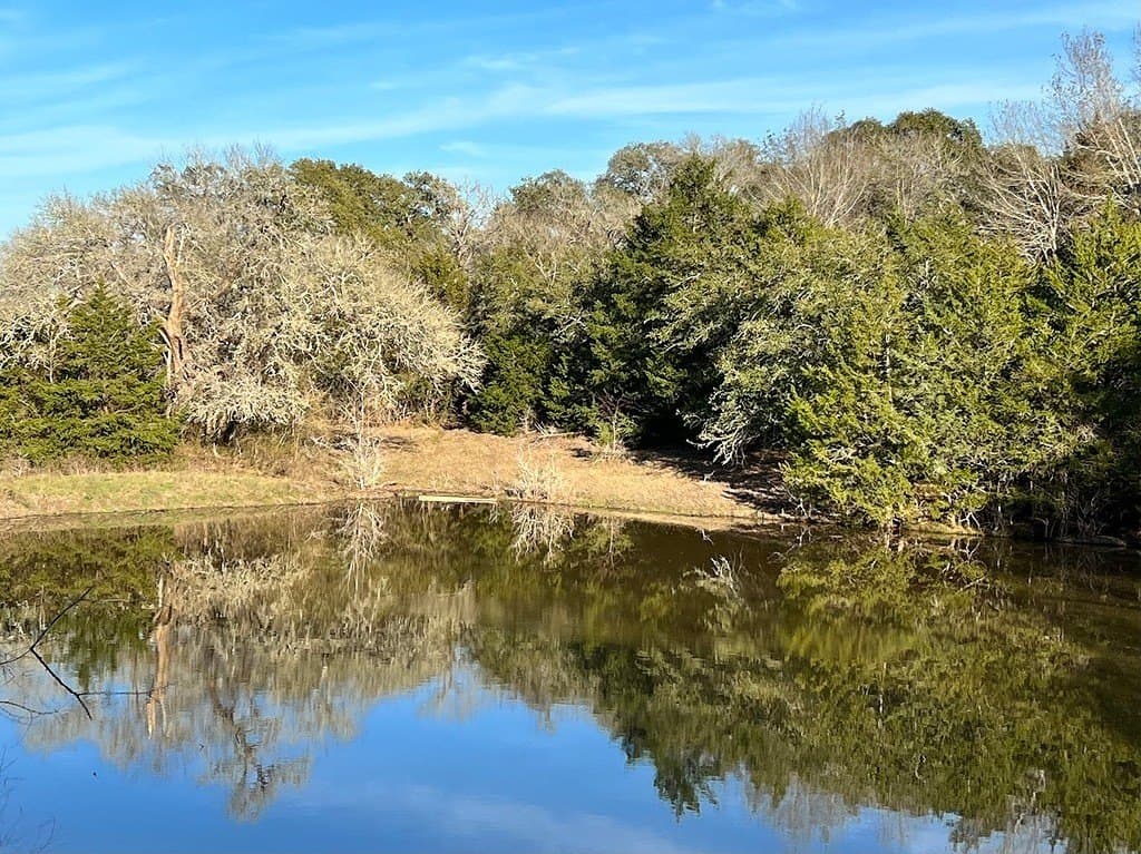 50 acres in Washington County - photo 7