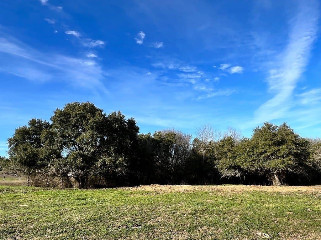 50 acres in Washington County - photo 14