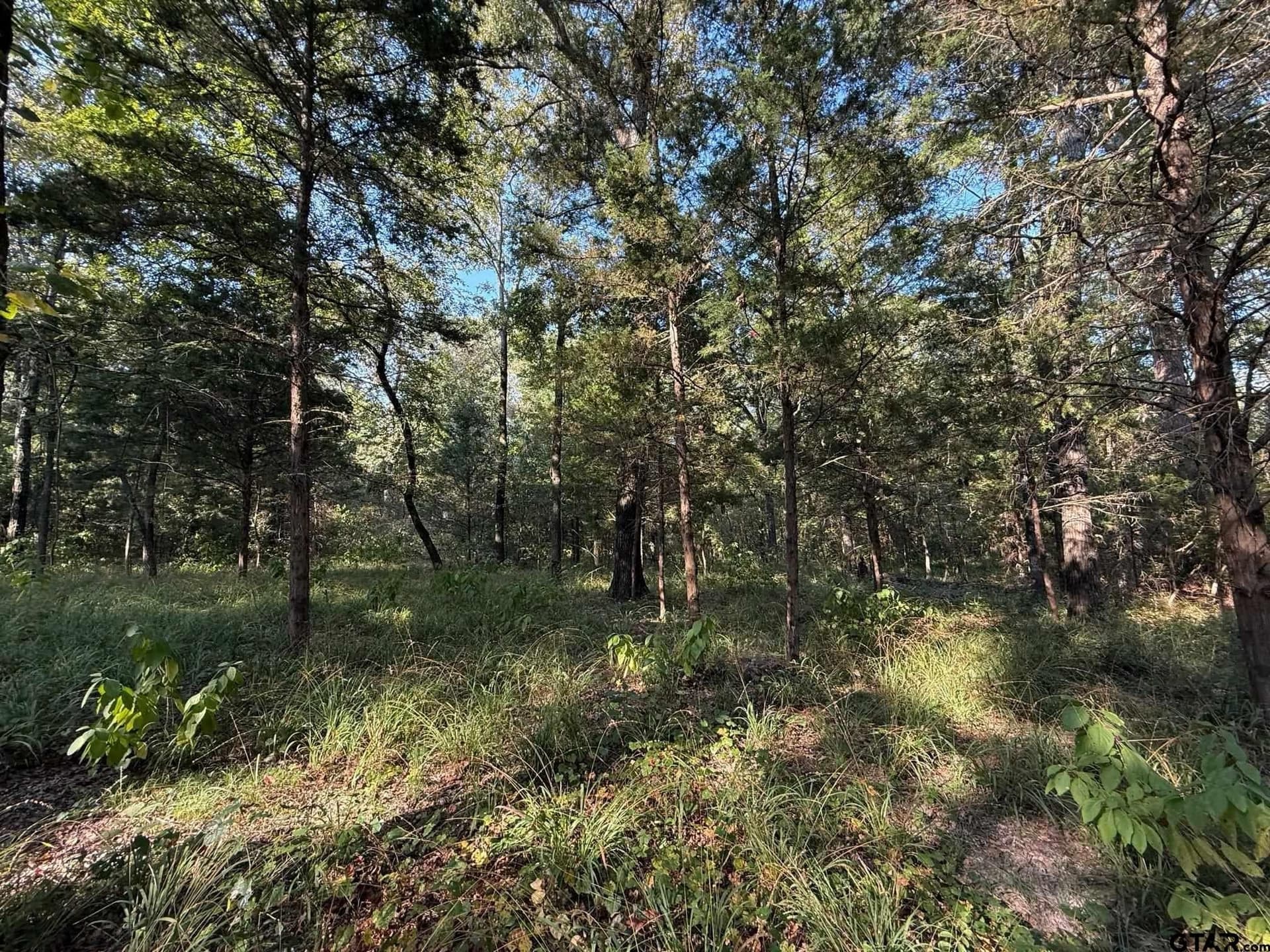 8.69 acres in Wood County - photo 29
