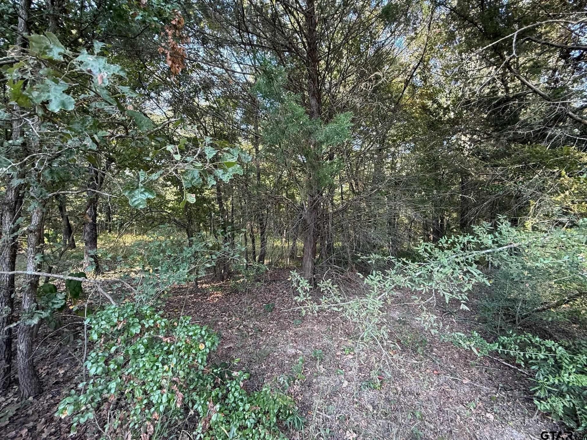 8.69 acres in Wood County - photo 24