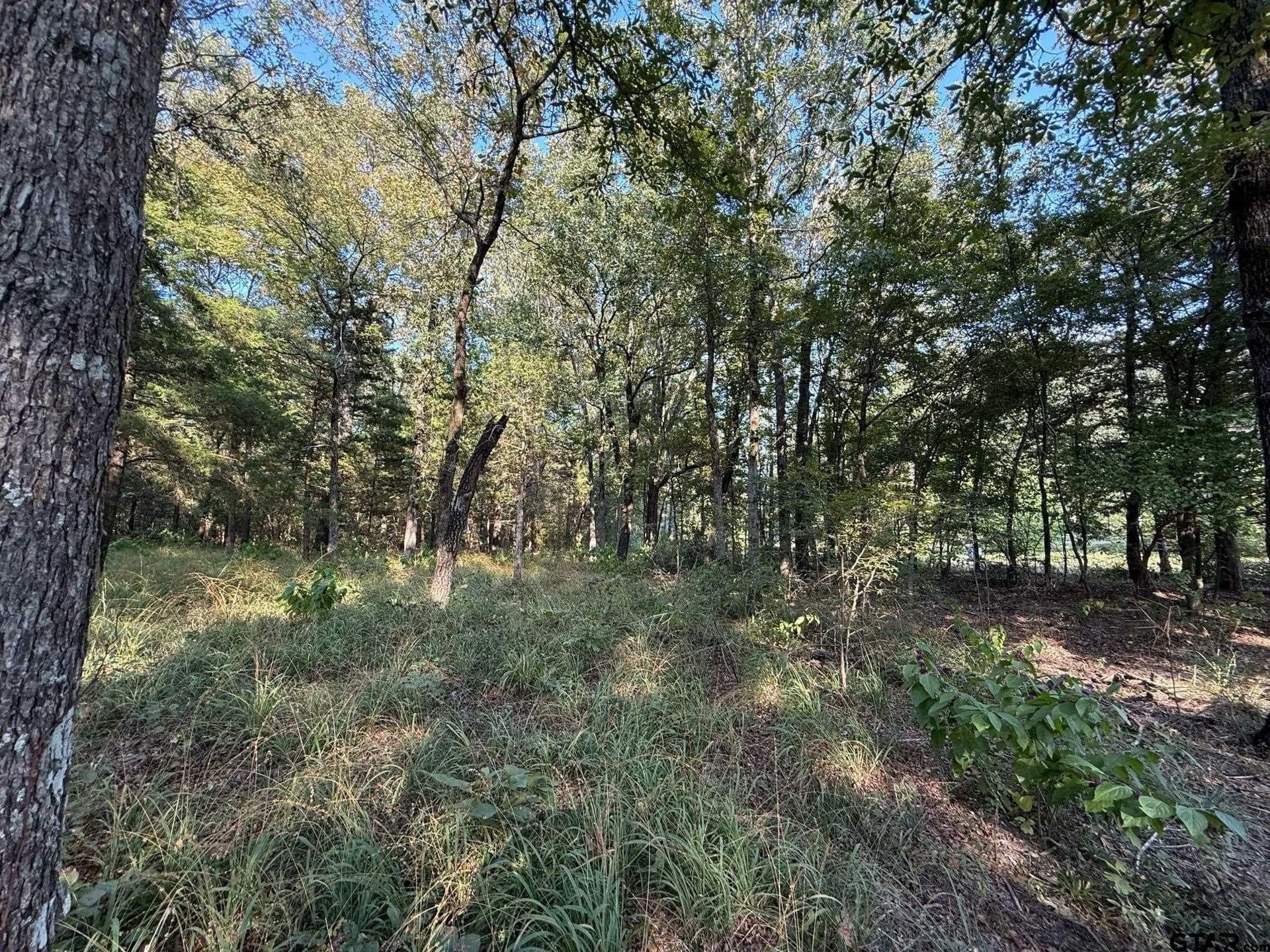 8.69 acres in Wood County - photo 32